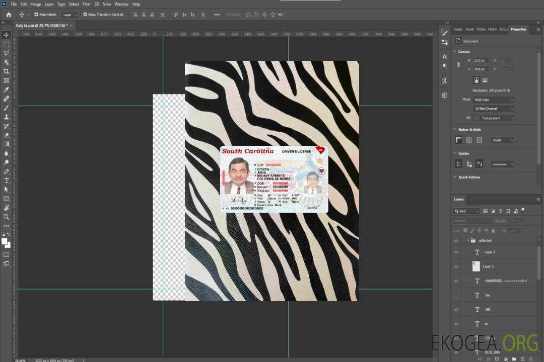 États-Unis Caroline du Sud État de conduite (2020 – présent) photolook AVANT template